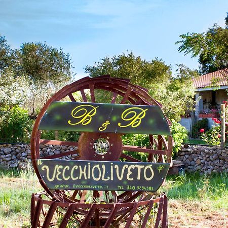 Bed and Breakfast Il Vecchioliveto Di Ornella Marrubiu Экстерьер фото