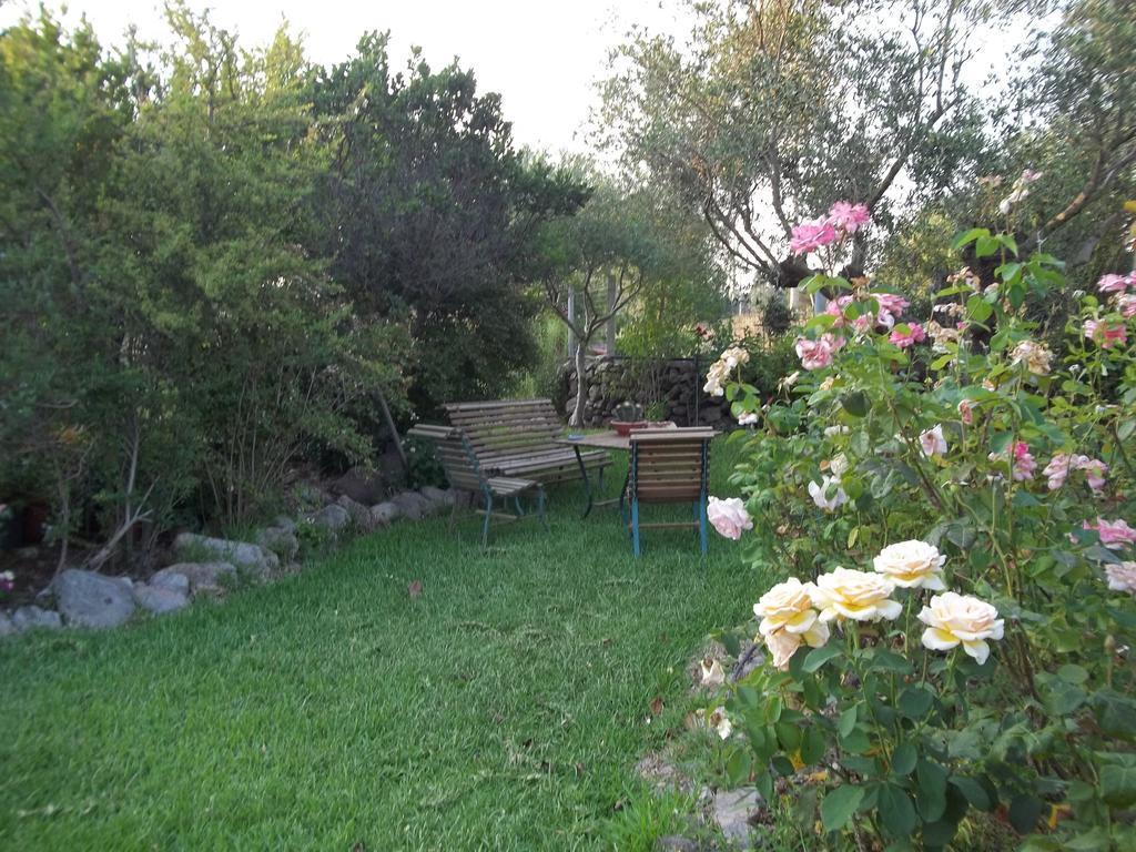Bed and Breakfast Il Vecchioliveto Di Ornella Marrubiu Номер фото