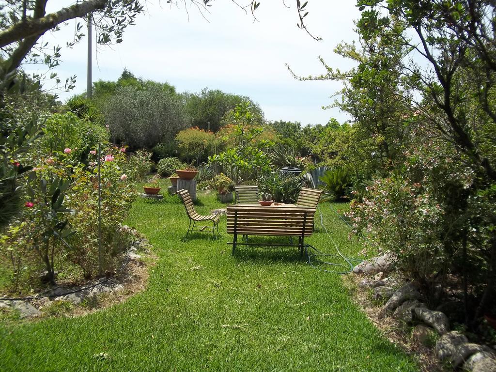Bed and Breakfast Il Vecchioliveto Di Ornella Marrubiu Номер фото