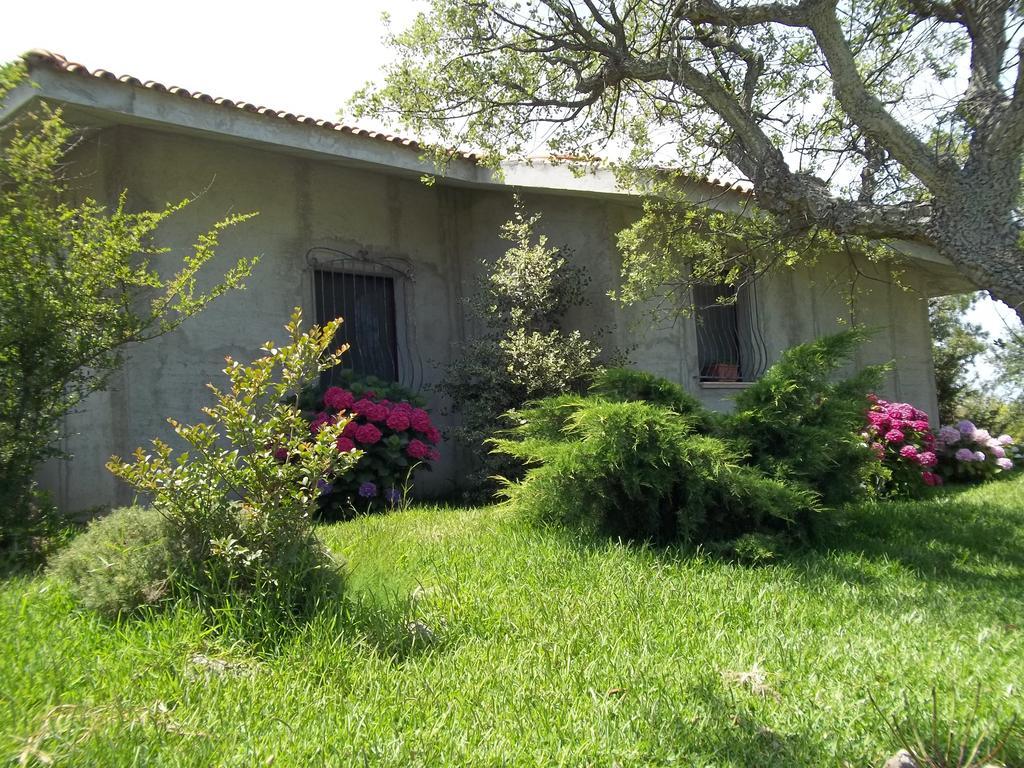 Bed and Breakfast Il Vecchioliveto Di Ornella Marrubiu Номер фото