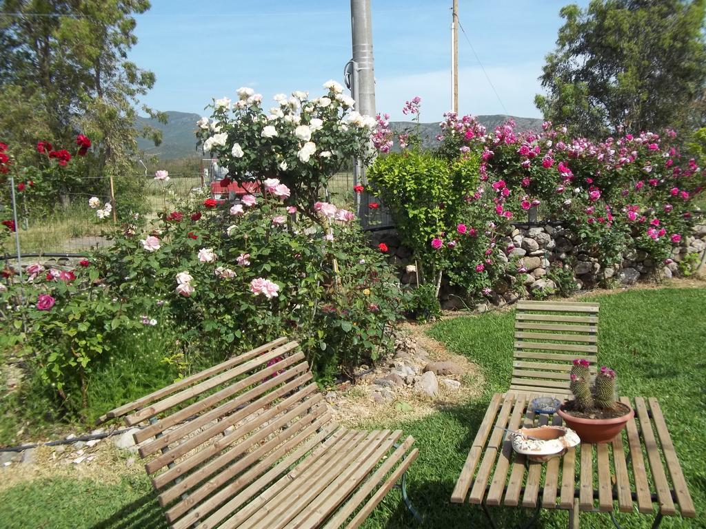 Bed and Breakfast Il Vecchioliveto Di Ornella Marrubiu Номер фото