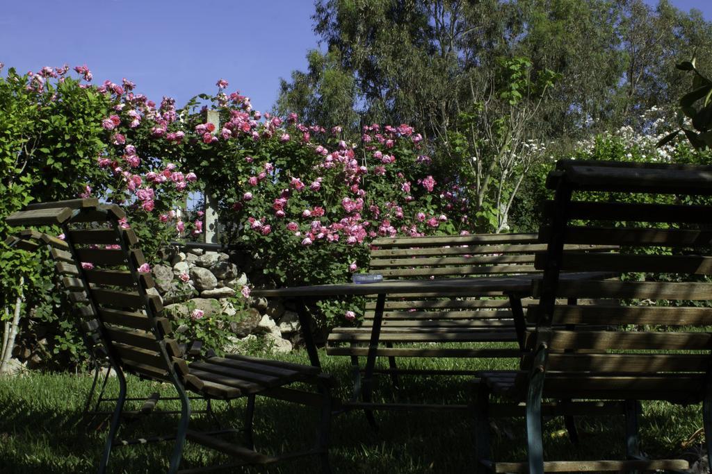 Bed and Breakfast Il Vecchioliveto Di Ornella Marrubiu Экстерьер фото