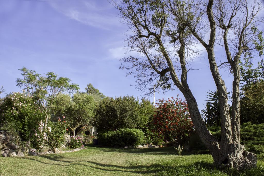Bed and Breakfast Il Vecchioliveto Di Ornella Marrubiu Экстерьер фото