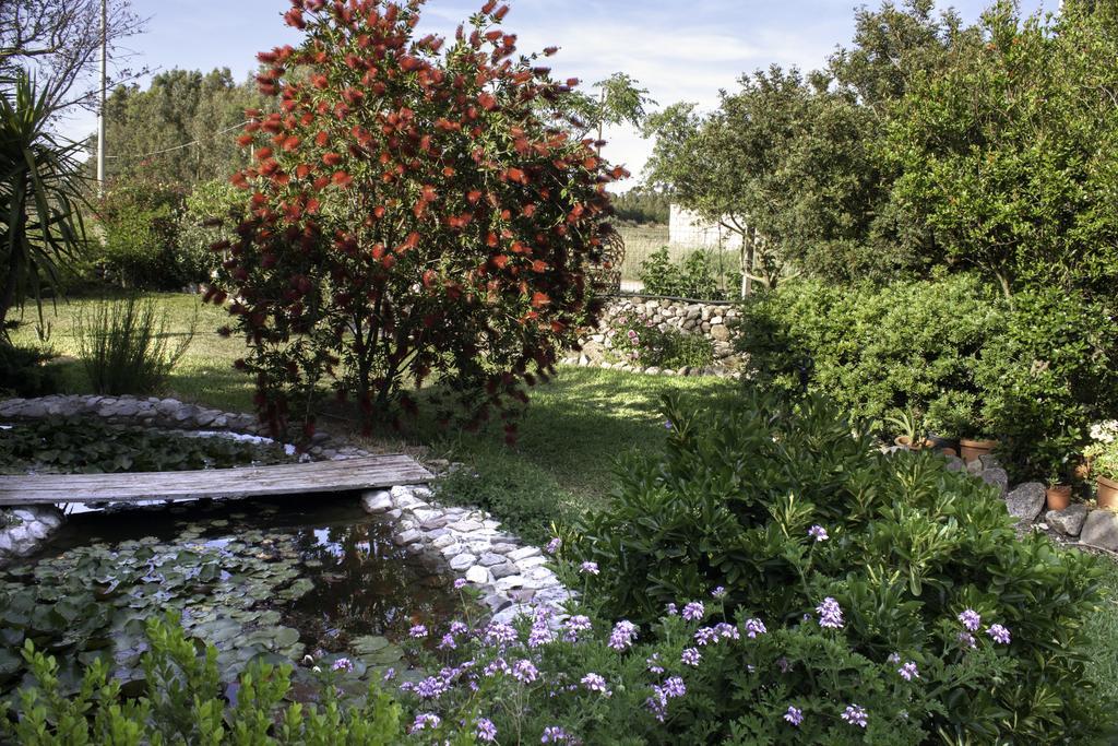Bed and Breakfast Il Vecchioliveto Di Ornella Marrubiu Экстерьер фото