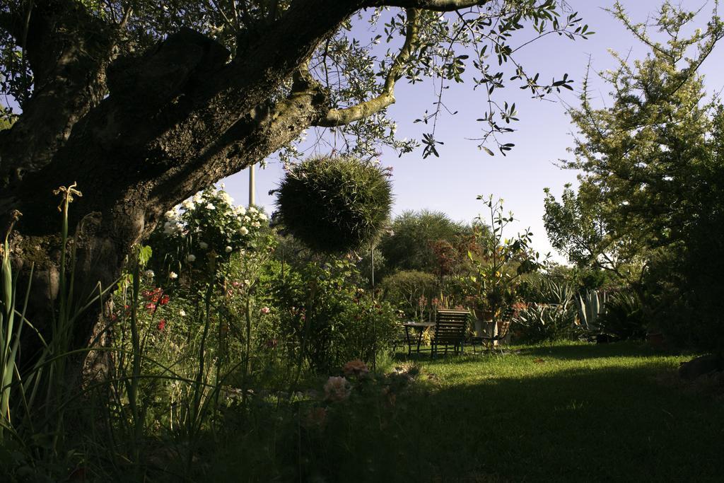 Bed and Breakfast Il Vecchioliveto Di Ornella Marrubiu Экстерьер фото