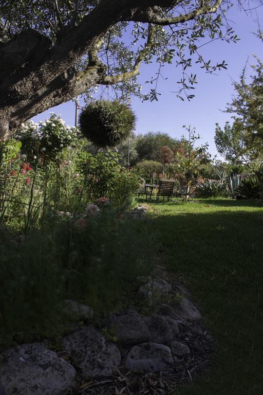 Bed and Breakfast Il Vecchioliveto Di Ornella Marrubiu Экстерьер фото
