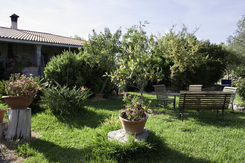 Bed and Breakfast Il Vecchioliveto Di Ornella Marrubiu Экстерьер фото